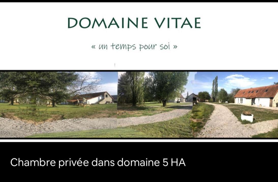 Domaine Vitae *