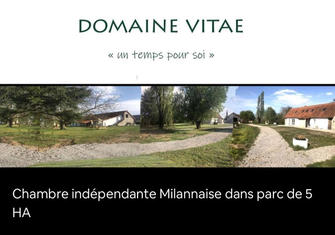 Domaine Vitae * Rabrunain